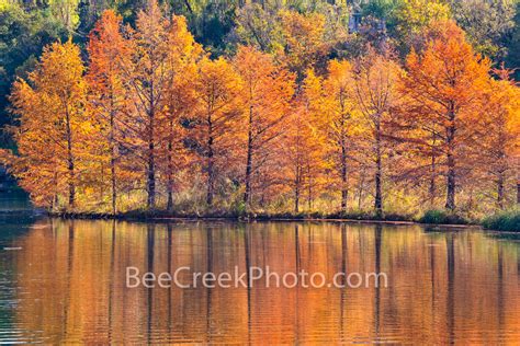 Fall Scenery at the Lake