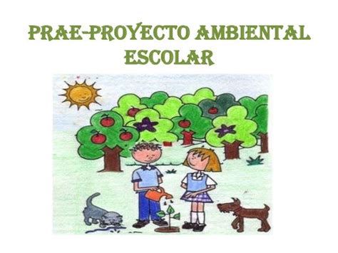 Proyecto Prae