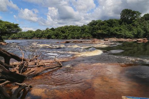 Jaú National Park - Amazonia Wild Experience