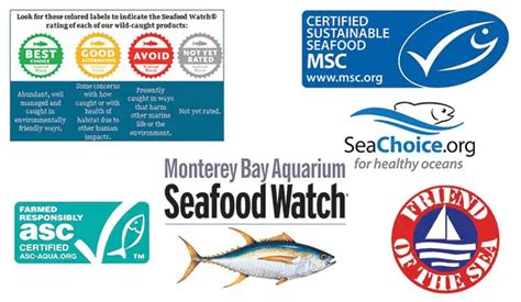 How To Identify Sustainable Seafood And Why It S Important