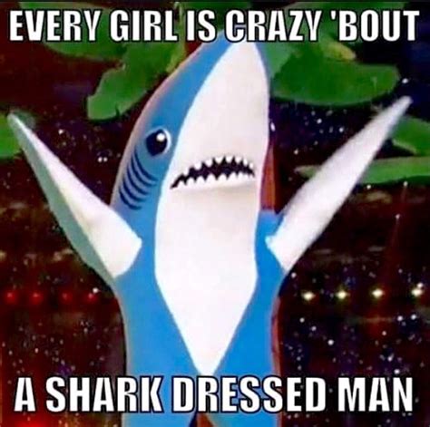 Zz Shark Shark Meme Left Shark Funny Pictures