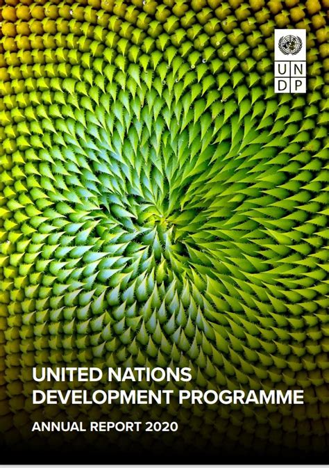 Undp Annual Report 2020 United Nations Development Programme