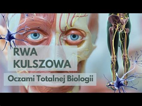 Rwa Kulszowa Oczami Psychobiologii Totalnej Biologii YouTube