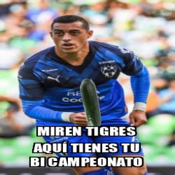 Meme Personalizado Miren tigres aquí tienes tu bi campeonato 33278861