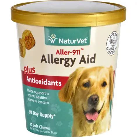 Best Allergy Medicines for Dogs Reviewed & Rated for Quality - TheGearHunt