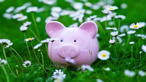 Four Ways To Spring Clean Your Finances