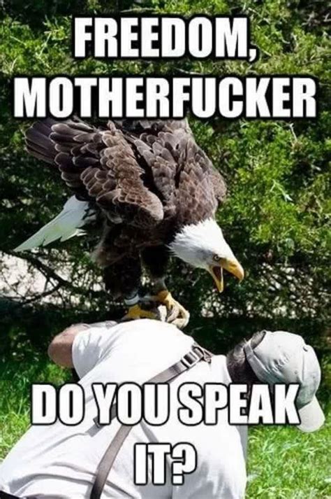 Freedom Eagle Gets Really Real Sometimes Liberty Memes Funny