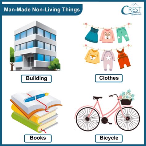 Living And Non Living Things Class 1 Explained