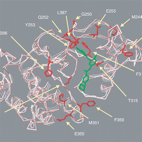 Mechanisms Of Resistance Towards Imatinib A Imatinib Is Available