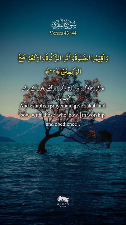 Surah Al Baqarah With Translation Verses 43 44