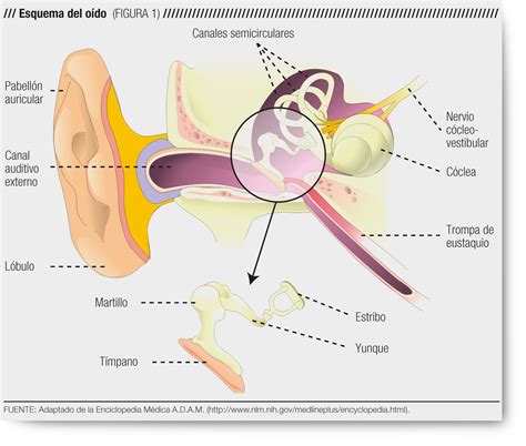 SINDROME DE TURNER: TRATAMIENTO