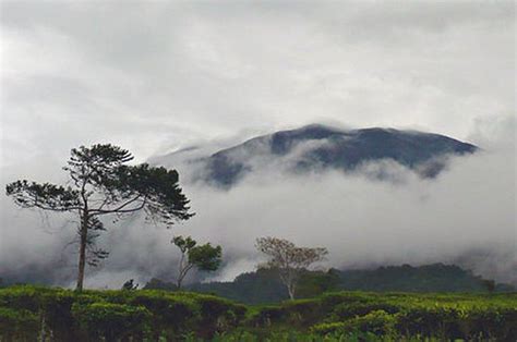 13 Fakta Menarik Taman Nasional Gunung Gede Pangrango Cagar Alam