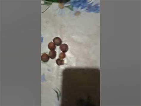Как колоть фундук - YouTube