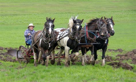 Ross Walker Photography Horse Drawn Plows