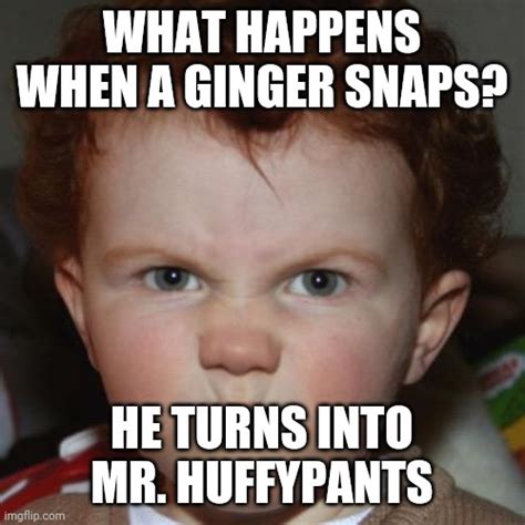 Image Tagged In Gingers Imgflip