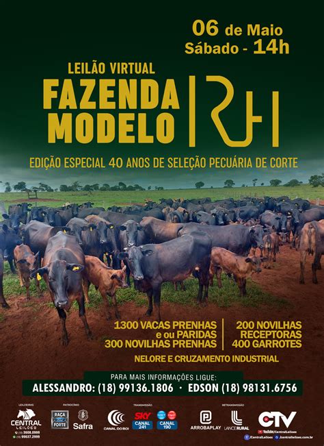 Leil O Virtual Fazenda Modelo Corte Central Leiles