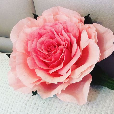 Pin by Анастасия on Большие цветы | Flowers, Plants, Rose