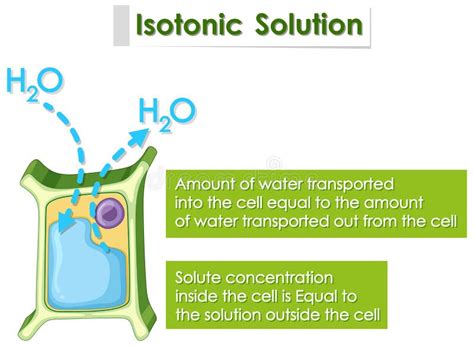 Isotonic solution stock illustration. Illustration of genes - 185991712