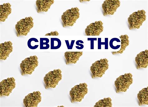 Cbd Vs Thc Differences Benefits And The Entourage Effect Nama