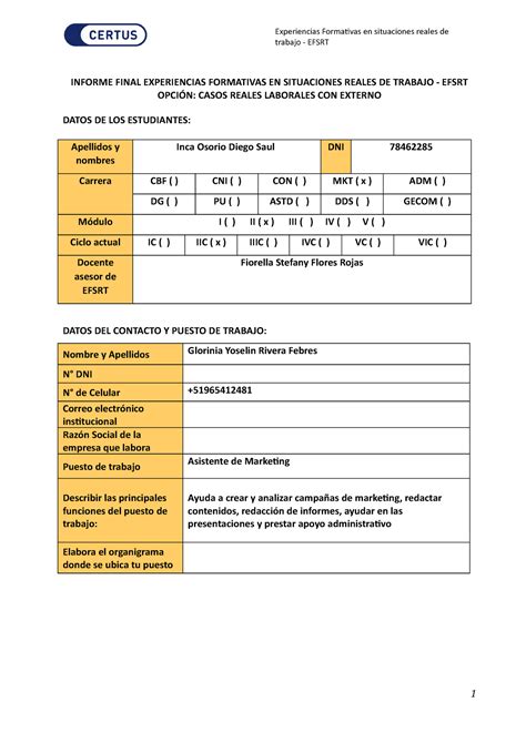 Informe Final Casos Reales Laborales CON Externo INFORME FINAL