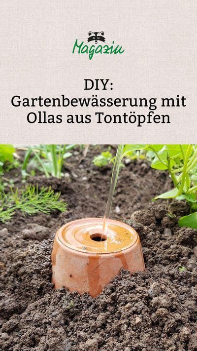 Diy Gartenbew Sserung Mit Ollas