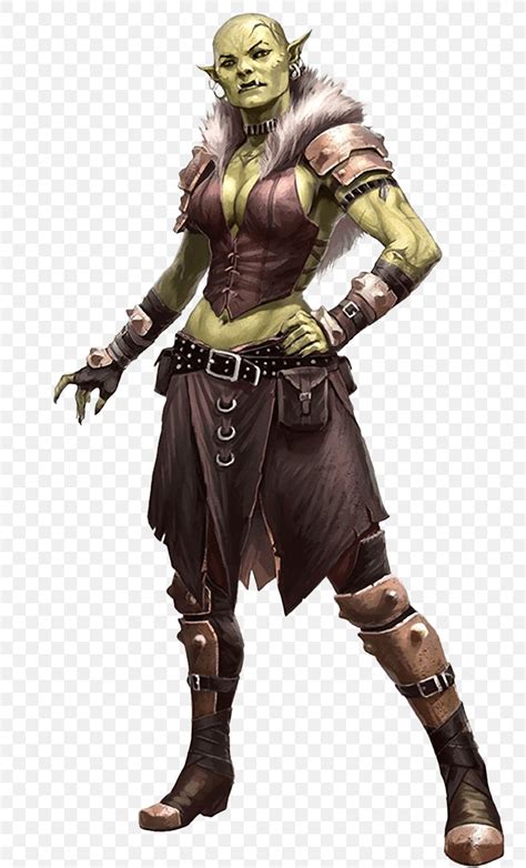 Half Orc Pathfinder Roleplaying Game Art Female Png 800x1353px Orc Action Figure Armour