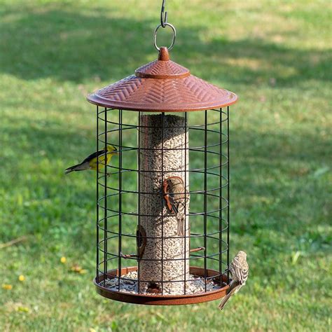 Squirrel-X™ Grande Squirrel-Proof Caged Bird Feeder, 3.1 lb. capacity ...