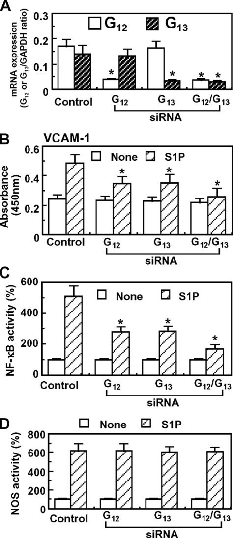 Involvement Of G 12 13 Proteins In S1P Induced Stimulation Of VCAM 1