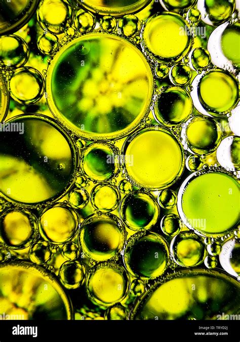 Green Abstract Oil Bubbles Pattern Textures Macro For Backgrounds Stock