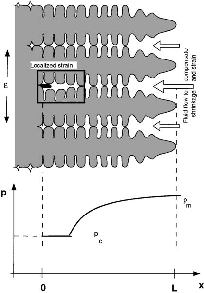 1 Pressure Drop Along The Mushy Zone Induced By Solidification