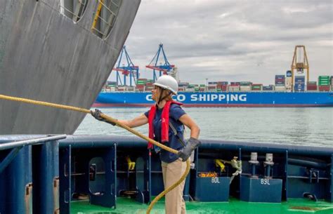 Requisitos para Ser Amarrador de Barcos España dontutoriales