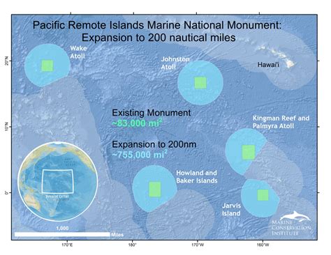 Treasure Trove Of Pacific Wildlife Need Your Support For Expanded Marine National Monument The