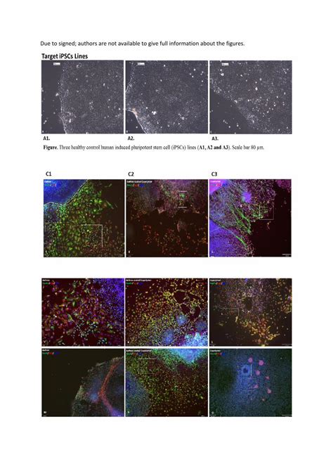 Pdf Ipscs Neuronal Differentiation And Bio Material Dokumen Tips