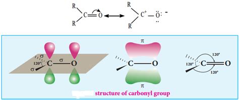 Structure of Carbonyl Group