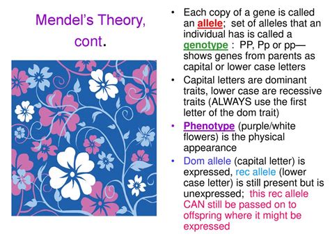 Mendel And Heredity Gregor Mendel 1850s Austrian Monk That Bred Pea