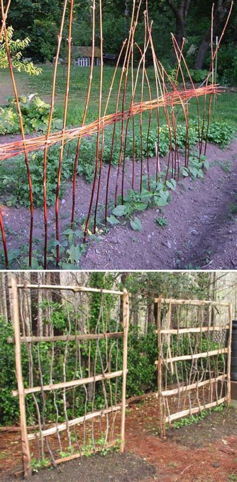 15 Best Ideas For Diy Garden Trellis