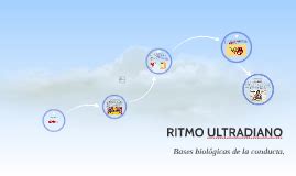 Venta Ejemplos De Ritmos Ultradianos En Stock