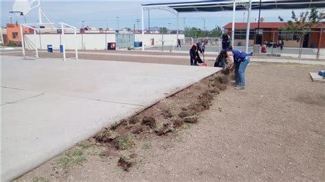 Retira Gobierno Municipal Maleza Y Basura De Espacios P Blicos