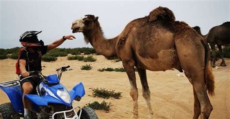 Agadir Morocco Activities Pakages And Tours