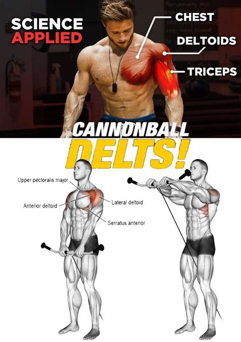 Front Delts Training Deltoid Workout Delts Workout Gym Workout Tips