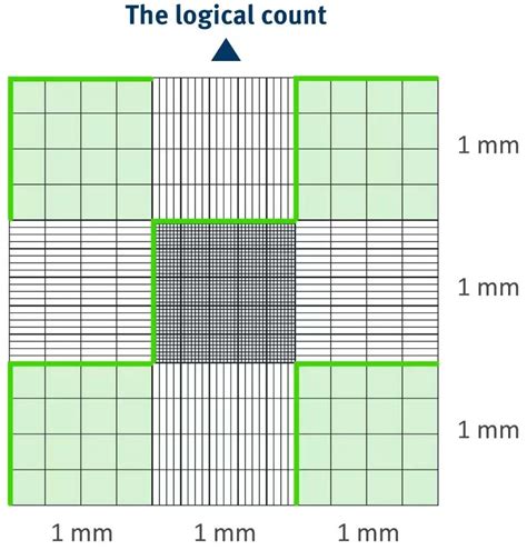 Hemocytometer Uses Procedures Calculations And More Ltg