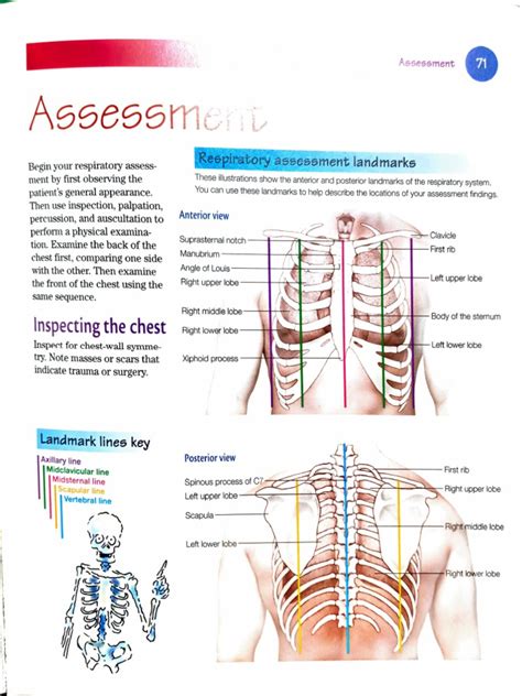 Respiratory Assessment Landmarks Pdf Thorax Breathing