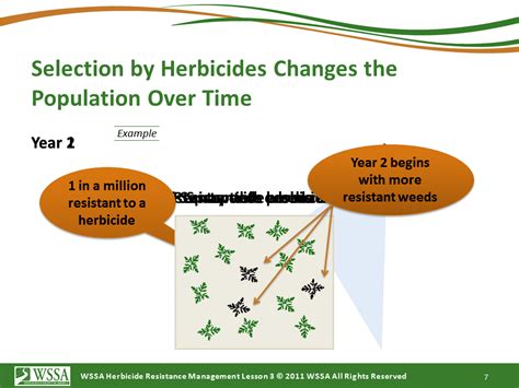 What Is Herbicide Resistance Cotton Incorporated