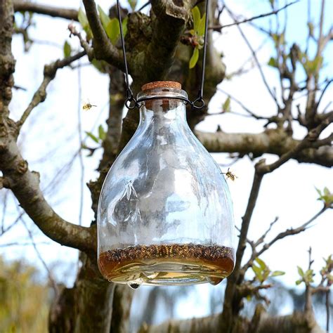 Ckb Ltd Wasp Catcher Hanging Glass Bottle Insect Trap