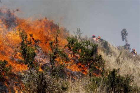 Incendios Forestales Estamos Preparados Puntoedu Pucp