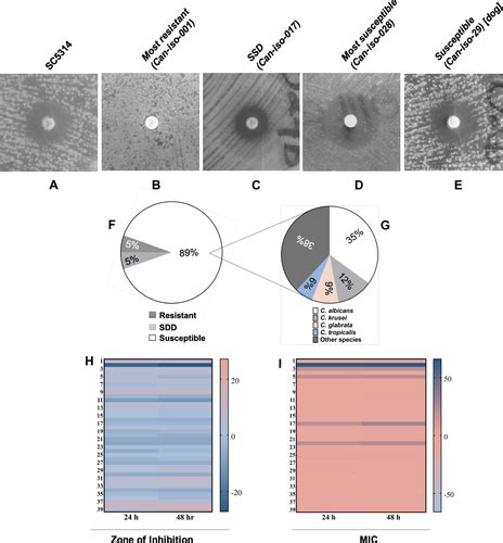 Full Article A New Variant Of Mutational And Polymorphic Signatures In