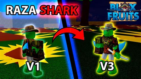 Como Subir La Raza Shark De V A V S Per F Cil Tutorial Youtube