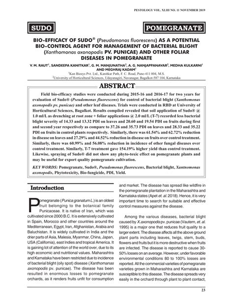 PDF BIO EFFICACY OF SUDO Pseudomonas Fluorescens AS A POTENTIAL