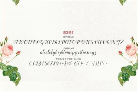 Mightype Font Upfonts