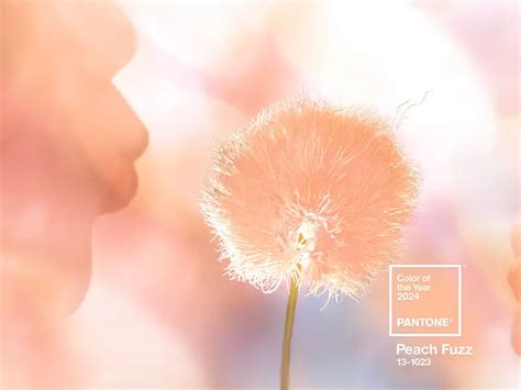 Couleur Pantone de l année 2024 Peach Fuzz Visite Déco